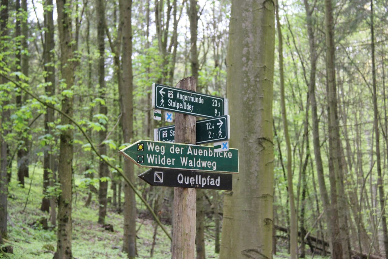 Wegweiser im Nationalpark Unteres Odertal, Foto Alena Lampe (CC BY-NC-ND)